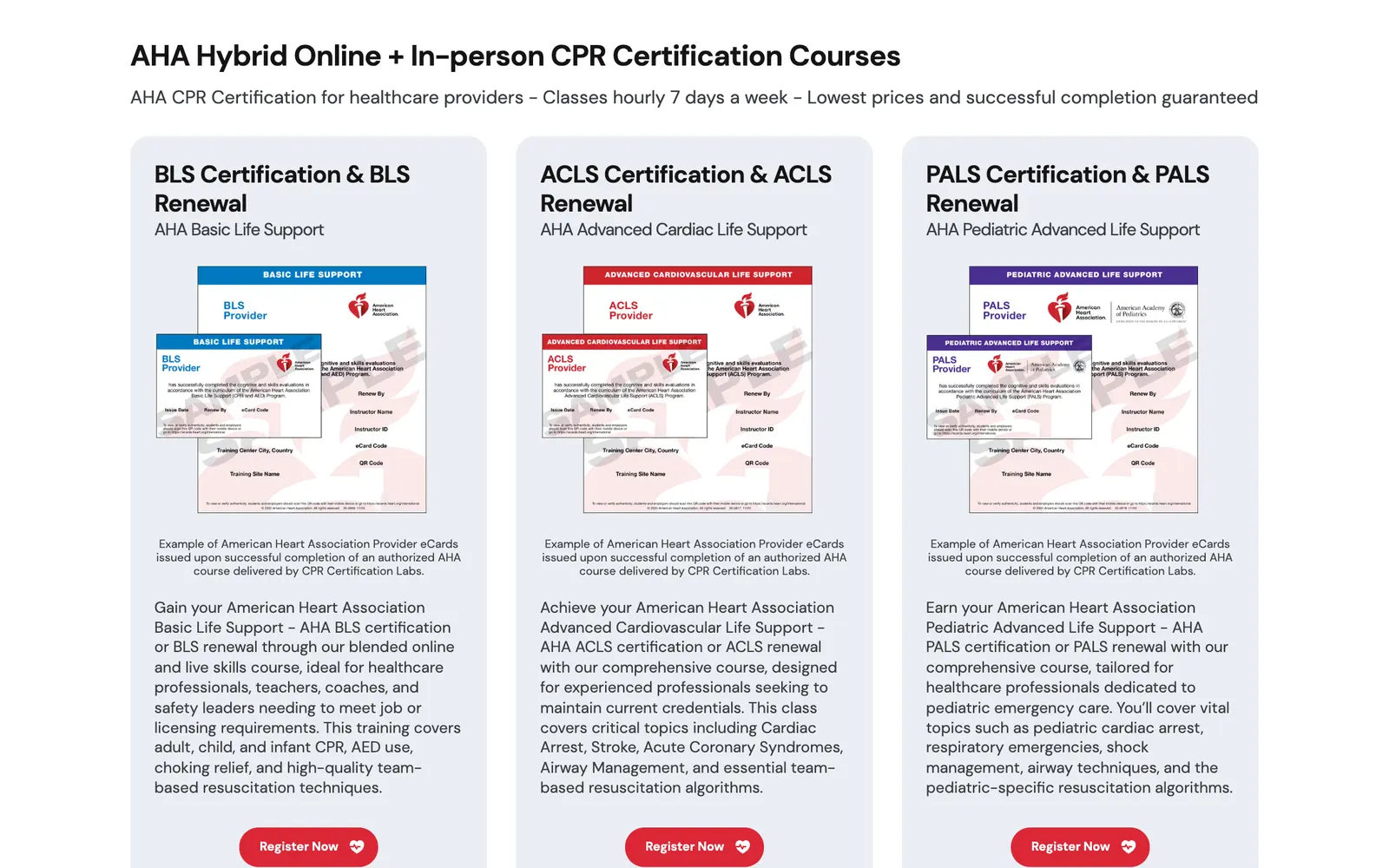CPR Certification Labs — Course catalogue